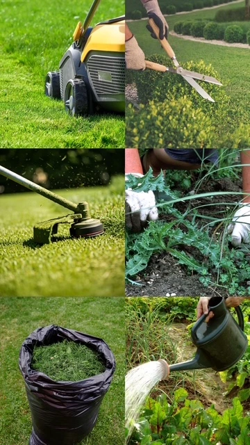 services
